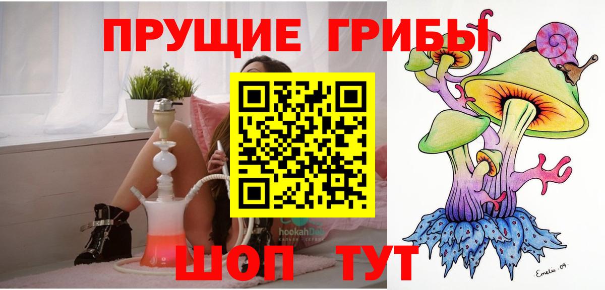 Шадринск  Псилоцибиновые грибы ЛСД  Псилоцибиновые грибы мухоморы  Вход с VPN 
